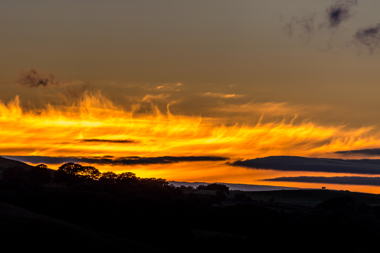 Lorton Vale sunset