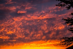 Lorton Vale sunset