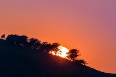 Lorton Vale sunset