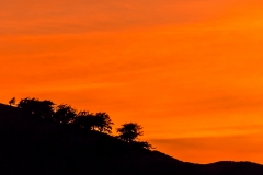 Lorton Vale sunset