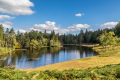 Tarn Hows