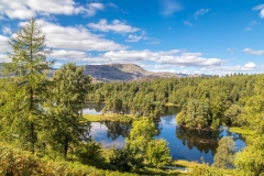 Tarn Hows