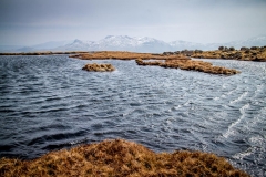 Tarn on Grey Knotts