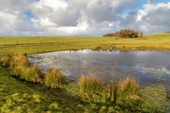 pond near The Bridestones, North Yorkshire