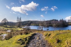 Moss Eccles Tarn, Claife Heights