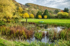 Near Hackness, North Yorkshire