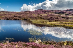 Dock Tarn, Great Crag