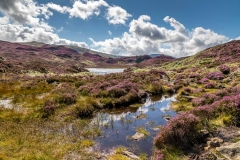 Dock Tarn, Great Crag