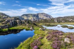 Innominate Tarn, Haystacks