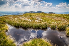 Tarn on Mardale Ill Bell