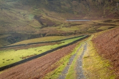 High Nook Tarn,  Loweswater