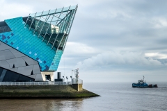 The Deep, Hull