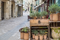Uzès, South of France