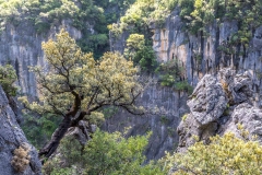 Garganta Verde, Grazalema, Spain