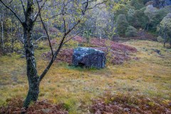 Cummacatta Wood, Borrowdale