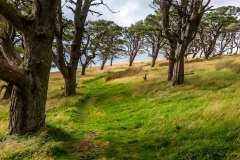 Great Mell Fell