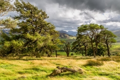 Great Mell Fell