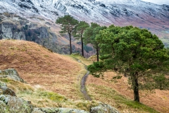 High Rigg