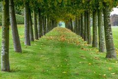 Houghton Hall