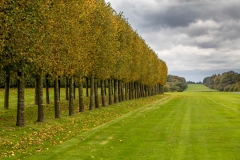 Houghton Hall