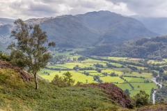 Grange Fell, Borrowdale