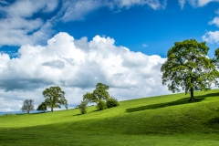 Eden Valley
