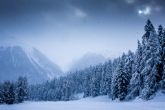 Spinas, Swiss Alps