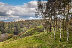 Tarn Hows