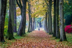 Thorp Perrow