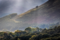 Lorton Vale