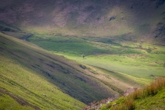 Lone hawthorn tree, Rannerdale