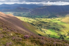 Newlands Valley
