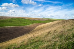 Yorkshire Wolds