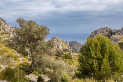 Mortitx, Mallorca