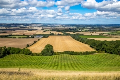 Vale of Pickering