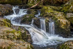 Aira Beck Aira Beck