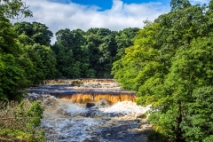 Aysgarth Force