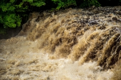 Aysgarth Falls