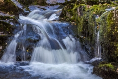 Aira Beck Cumbria