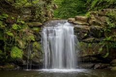 Thomason Foss, Beck Hole Thomason Foss, Beck Hole