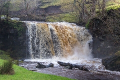 Catrake Force
