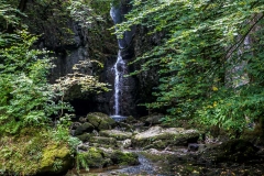 Catrigg Force