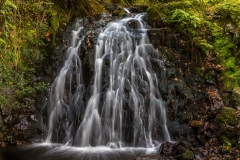 Tom Gill waterfall