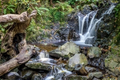 Cat Gill waterfall in Great Wood Borrowdale