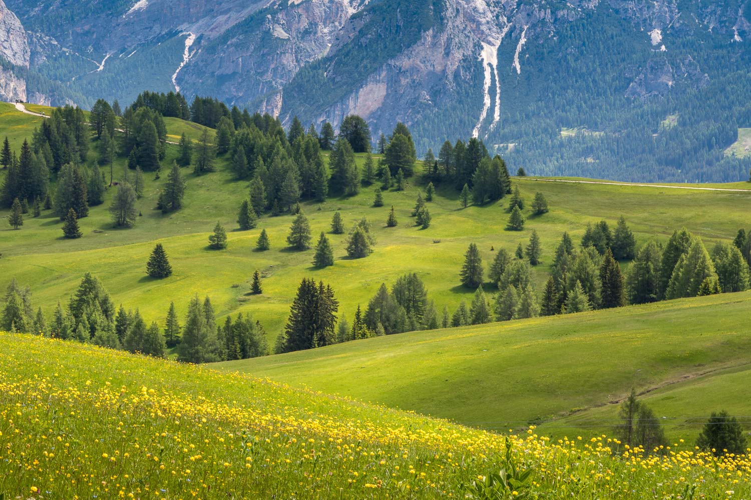 Pralongia ridge, Dolomites