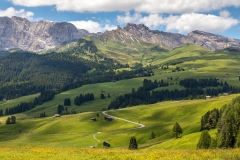 Wild flower meadows, Alpe de Siusi, Dolomites