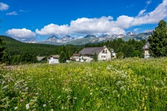 Swiss Alps