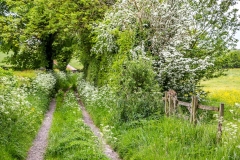 Appleby