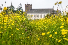 Bampton