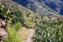 Barranco de Benchijigua, La Gomera